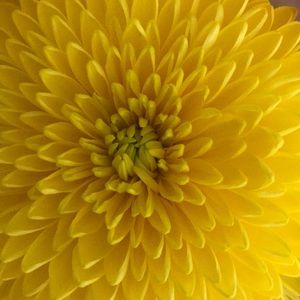 Meet your Posher, Raquel